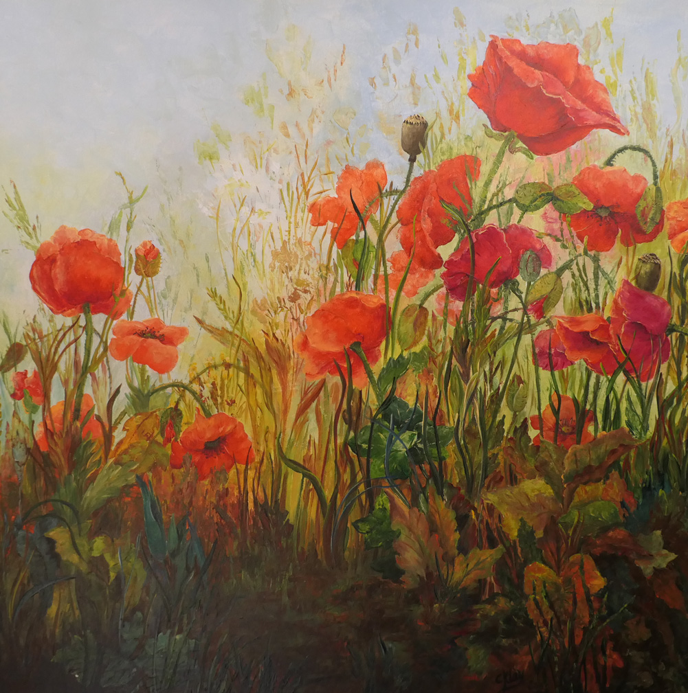 Coquelicots